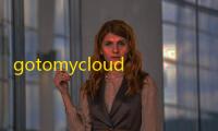 gotomycloud被控端 3.0.3 官方版